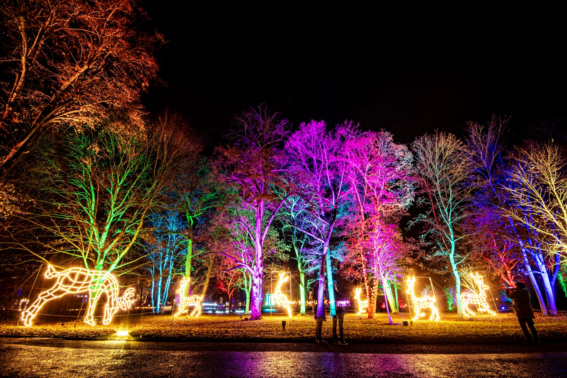 Christmas Garden